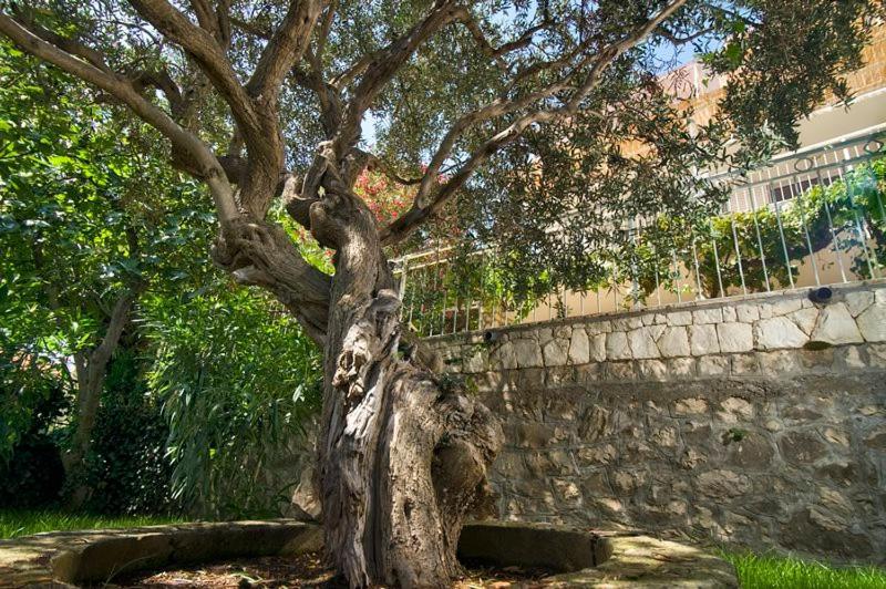 Holiday Home Duje Trogir Eksteriør bilde